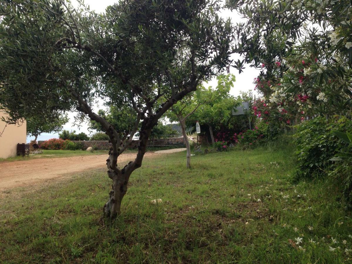 Kioni Villas Frangokastello Esterno foto